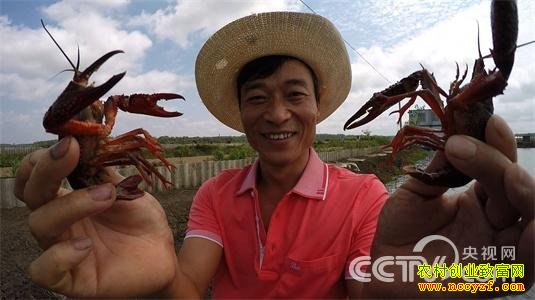 虾叔的小龙虾梦
