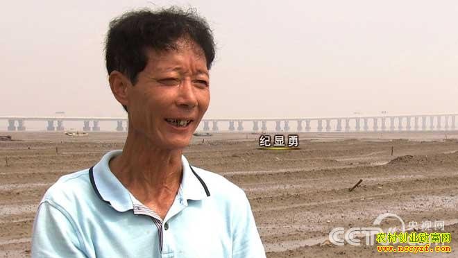 奇遇黑泥里的跳跳鱼之后