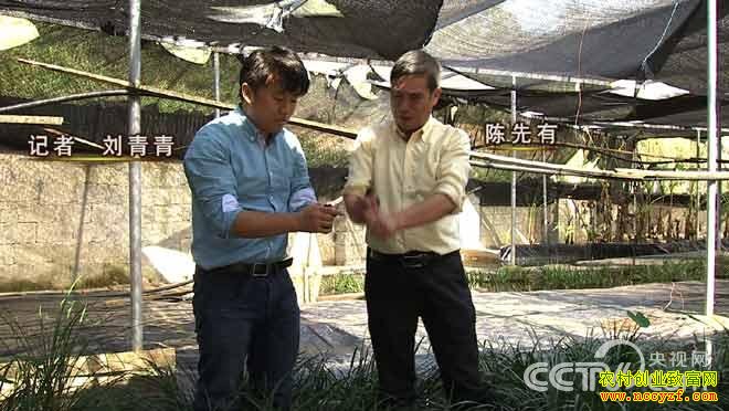 致富经:大山深处蛙财富