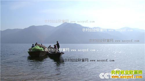 嫁对男人 入对行