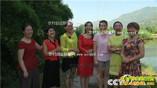 七仙女的财富与梦想