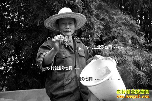 小龙虾前景广阔 重庆綦江刘进超养殖小龙虾创业