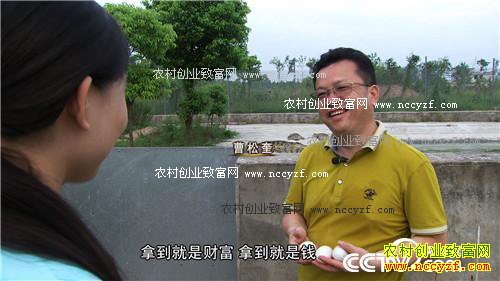 他冒着危险养了凶猛的娃娃鱼。娃娃鱼养成了,却一条也卖不出去,这时,街边上的一个发现,让他很快卖出了5000多条娃娃鱼。他又买进梅花鹿和鳄鱼,还说要靠它们卖娃娃鱼。江苏省扬州市的曹松奎,如何奇招频出,实现娃娃鱼一年销售额3000多万元!