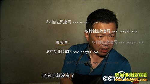 曹大胆儿和他的“娃娃鱼+”财富秘笈