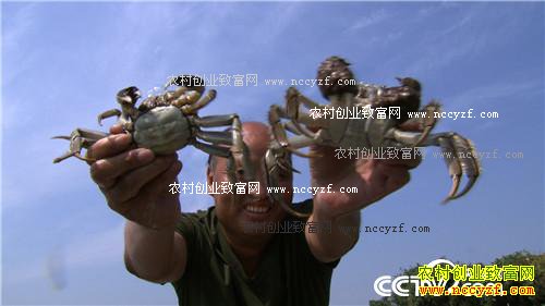昔日伤心地 今朝捡来千万财
