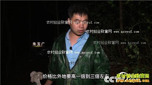 致富经:为爱回乡,深山寻宝