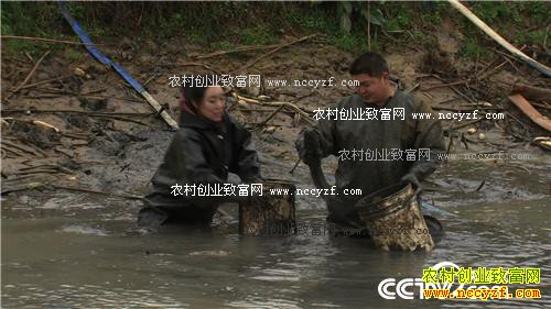 致富经:莽撞小伙黑泥塘里捞金 11月4日