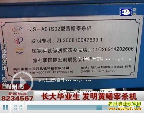 湖北仙桃杜登锋研发黄鳝宰杀机效率提高5倍
