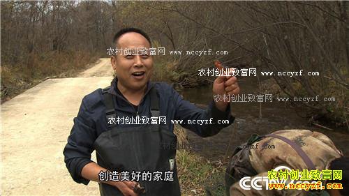 “李大蛤蟆”深山淘出千万财(2016.12.09)