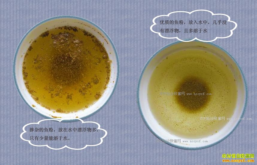怎样识别真假鱼粉:教你一招识别掺假鱼粉